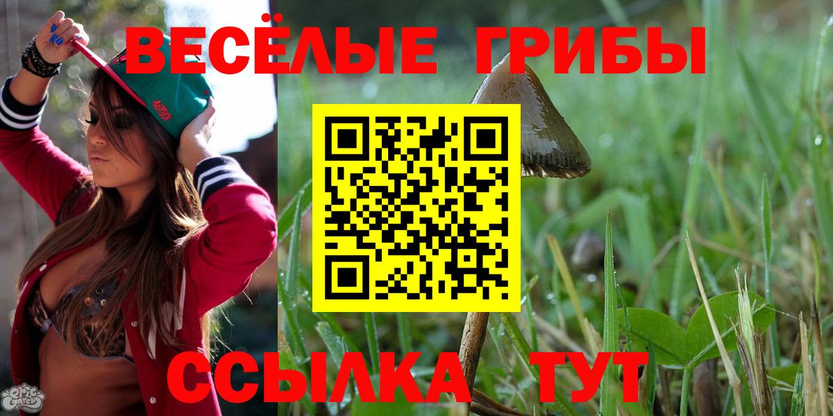 Галлюциногенные грибы мухоморы  Вход с VPN  Сердобск 